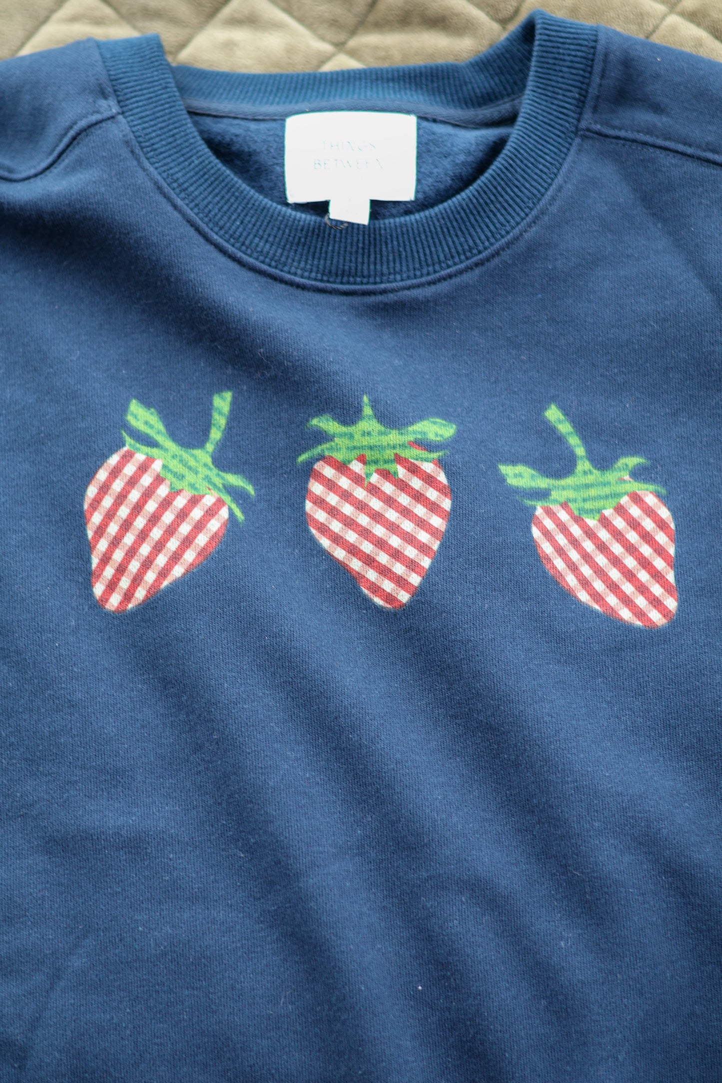 Strawberry Sweatshirt
